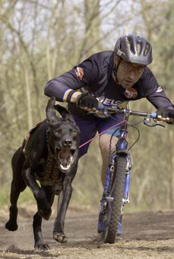 Roller fahren